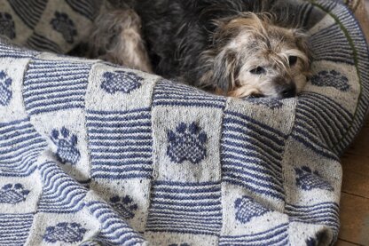 Pet Blanket