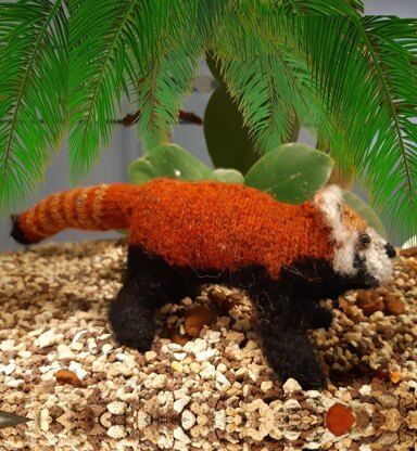 Red panda