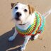 Festive Bauble Dog Jumper