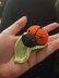 Luna the ladybird/ladybug