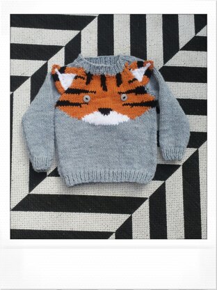 Tiger Jumper for Kids (plus hat)