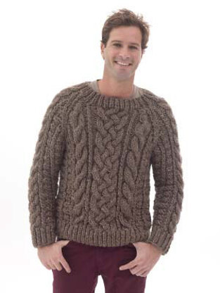 Raglan Cabled Pullover in Lion Brand Wool-Ease Thick & Quick - L40174