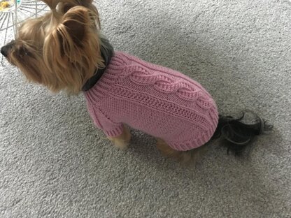 Pink Dog Sweater