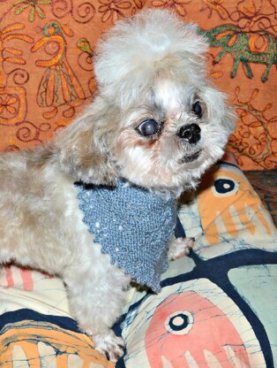 Doggie Lace Bandana