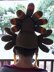 Birdbrain Turkey Hat