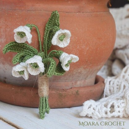 Snowdrop Flowers