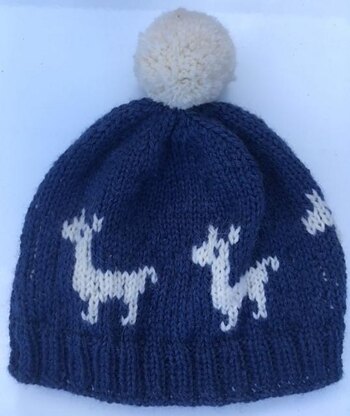 Child Alpaca Hat