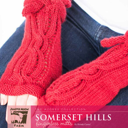 Somerset Hills Fingerless Mitts in Juniper Moon Farm Tenzing