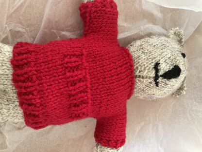 Ted bear jumper