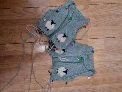 Twin Baby Cardigans