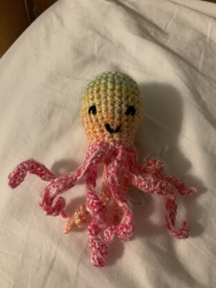 Ollie octopus 