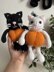 Pumpkin kitty