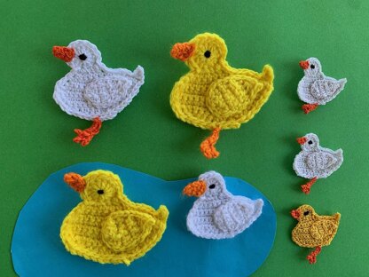 Duck
