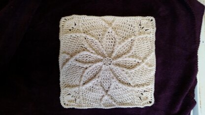 Winter Snowflake Square