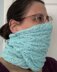 Entangled Braids Cowl