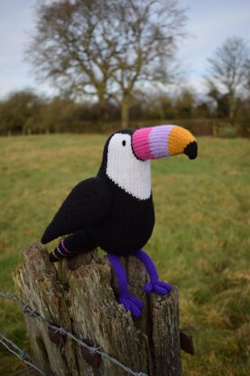 Graham the Toucan