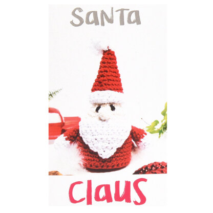 Santa Claus Crochet Kit for Beginners