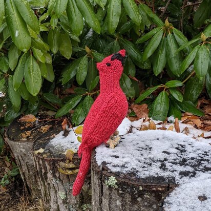 Corey - knitting pattern
