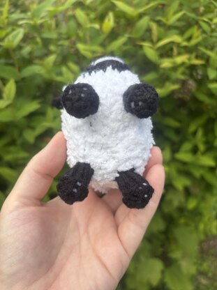 Valais Black Nose Sheep