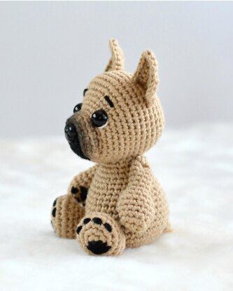 French bulldog