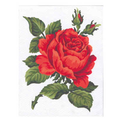 Collection D'Art Red Rose Needlepoint Kit - Multi