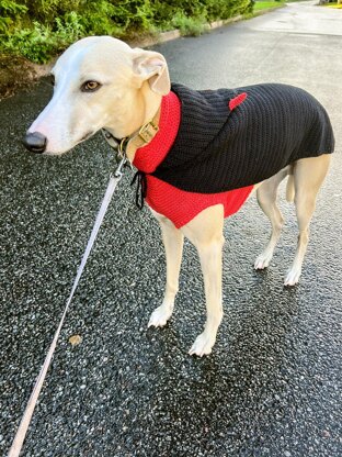 Doggo no 20 Cape