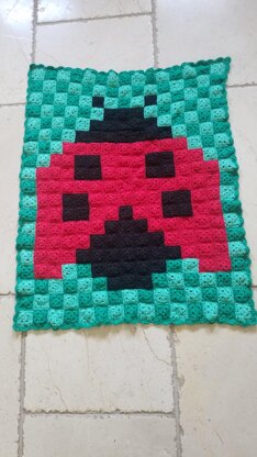 Ladybug Baby blanket