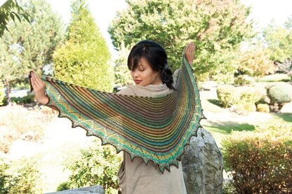 Two Color Crescent Shawl