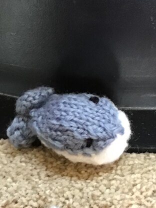 Teeny Whale