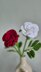 Rose hybrid bud