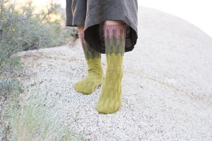 Cereus Socks