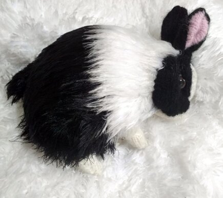 Dutch Rabbit #5