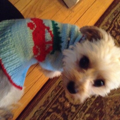 Christmas Time Dog Sweater