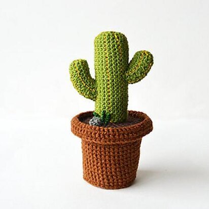 Desert Cactus Amigurumi Crochet Pattern