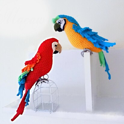 Macaw parrots