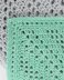 New Day Filet Crochet Baby Blanket