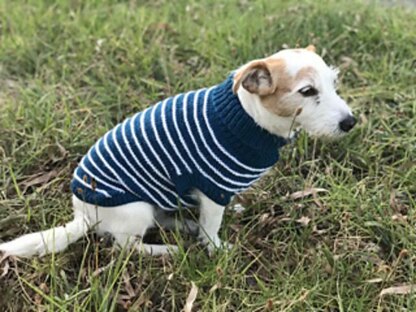 Dog Stripe Sweater