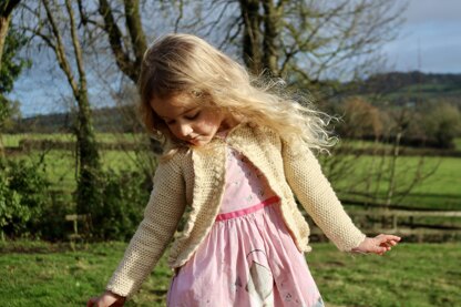 The Countryside Cardigan