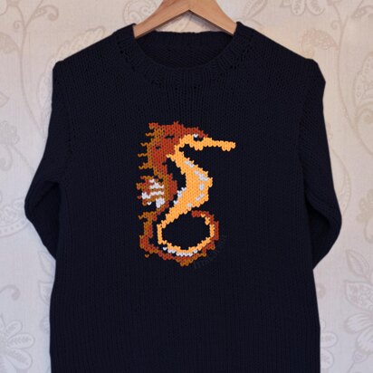 Intarsia - Seahorse Chart  - Adults Sweater