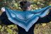 Aeshna Shawl