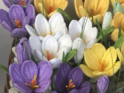 Crocus Crochet Pattern