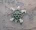 Hearty Turtle