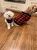 Buffalo Plaid Dog Sweater