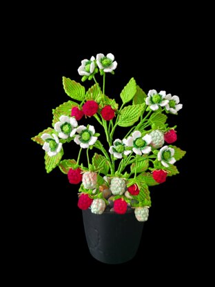 Crochet Raspberry plant