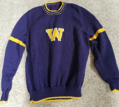 University of Washington Kids Sweater