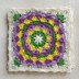 Blooming Daisy 9inch Square