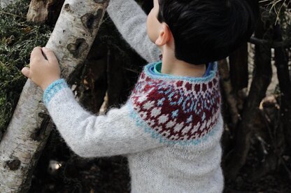 Kerid Sweater for Kids