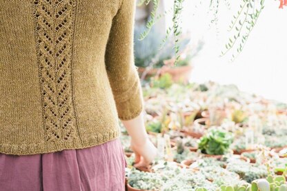 Marigold Cardigan