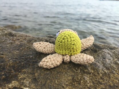 Sea Turtle