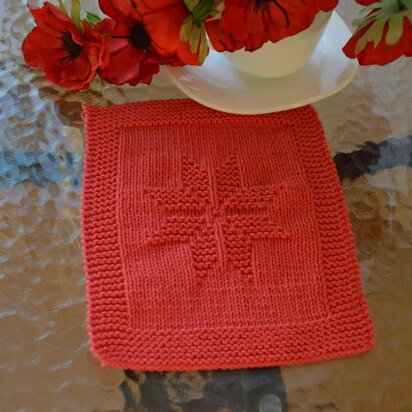 Dishcloth5